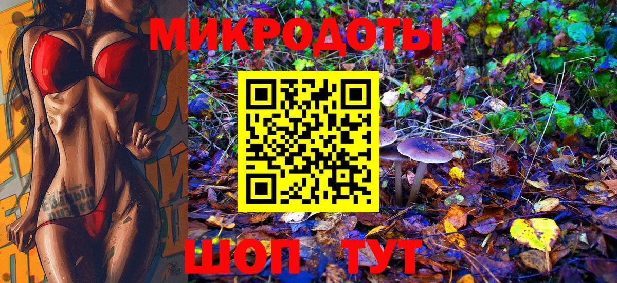 Галлюциногенные грибы Psilocybine cubensis Ишим