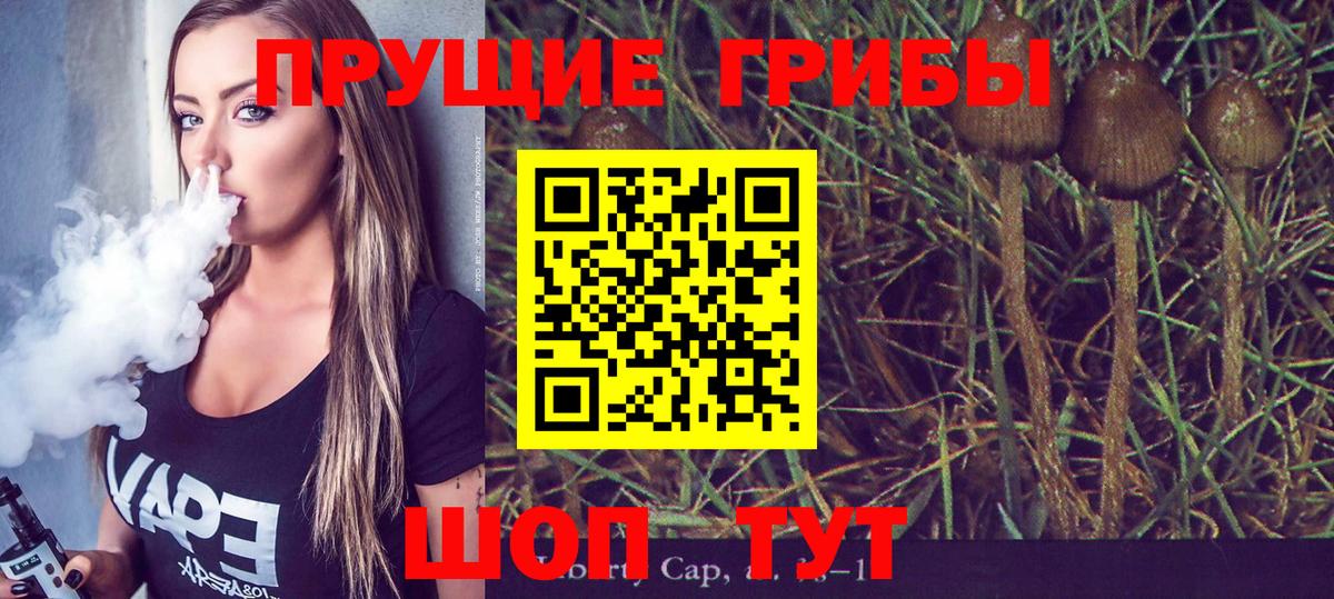 Ишим  Псилоцибиновые грибы MAGIC MUSHROOMS  Галлюциногенные грибы Cubensis  Вход с VPN 